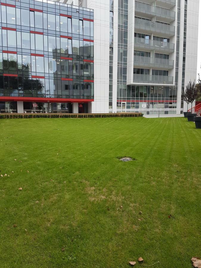 Apartament Towarowa 37 Poznań Exterior foto